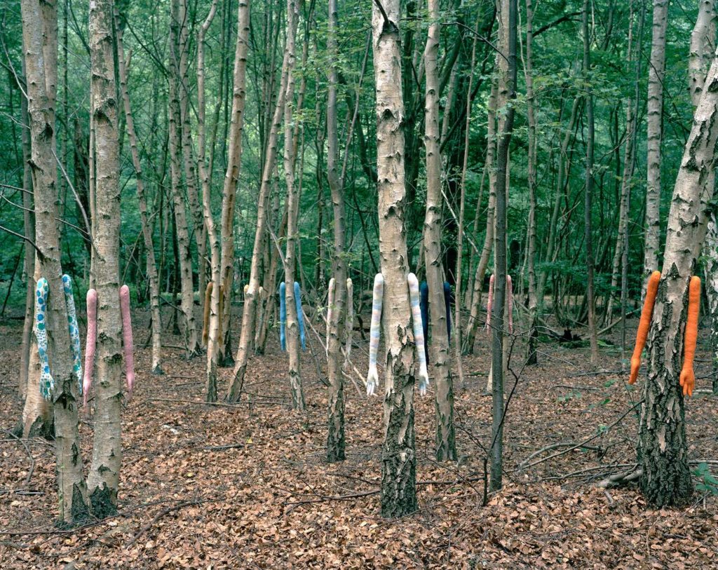 Girlhood, 2016, Epping Forest, Essex. Photograph by Sebastian Richter