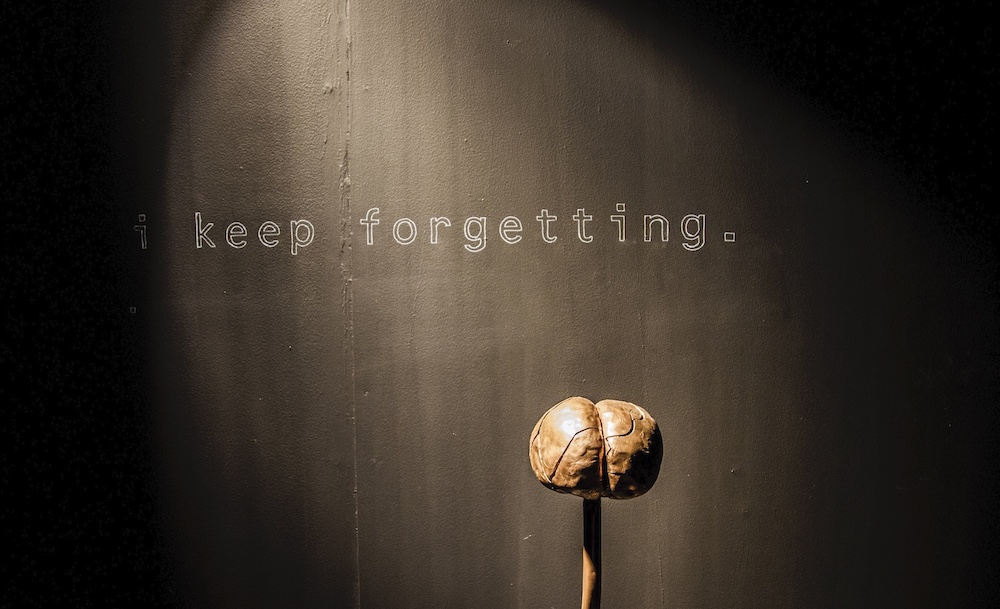 Copper Brain 2018