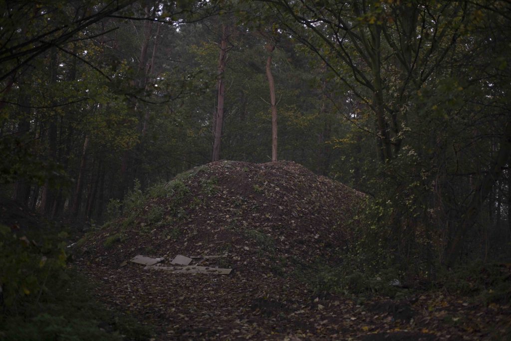 Scene, 2016, still