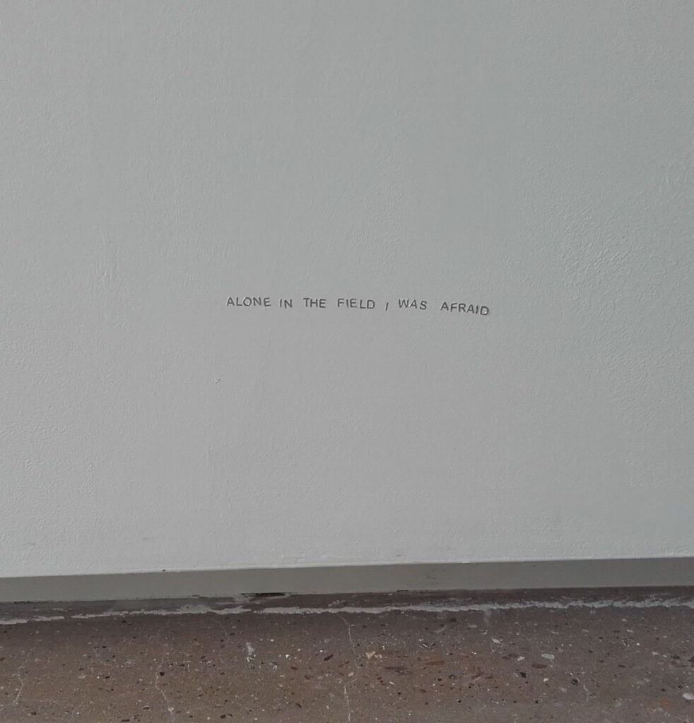 Alone in the field (2017) Vinyl lettering on wall