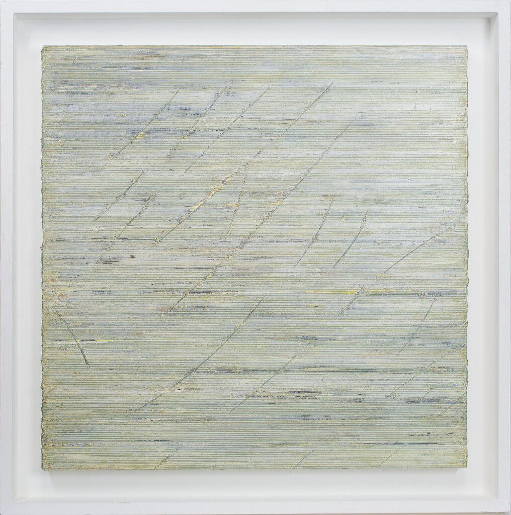 Rough Pasture (Veins) 2004-2005 Acrylic on cut-through panel
