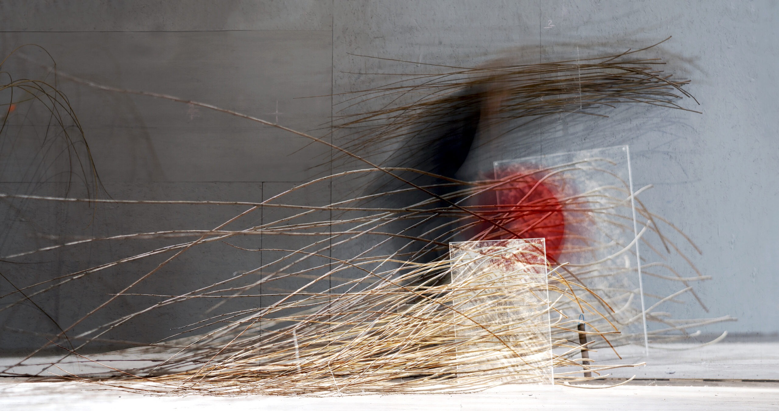 Fiona Carruthers, Performing Rehearsal (2022). UAL Central Saint Martins, London