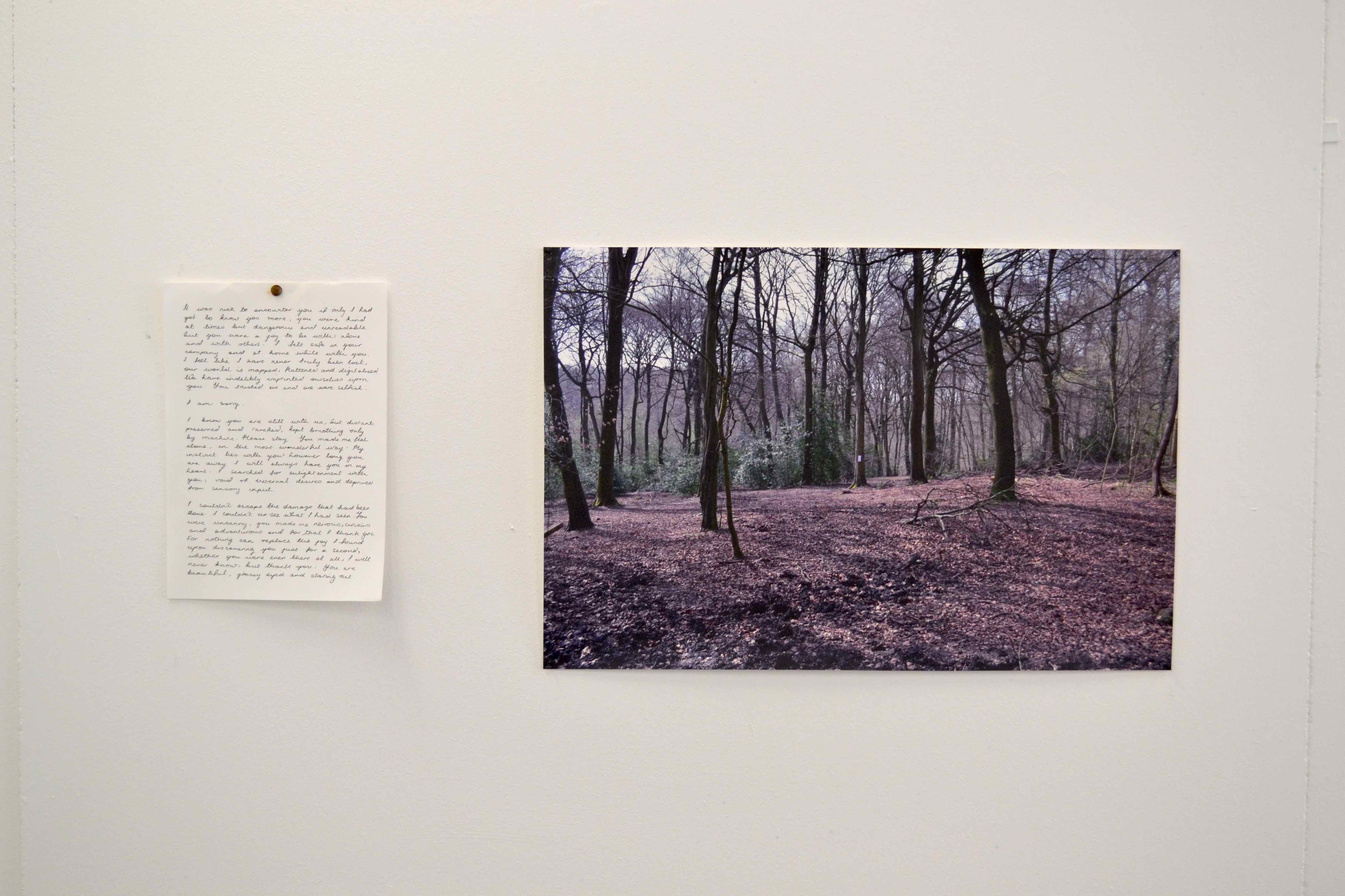 Theo Miller - To Wherever It May Concern, 2014