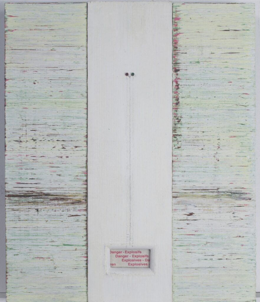 Tremor (Dene Quarry) 1999 Acrylic, plastic, found label and glass on panels