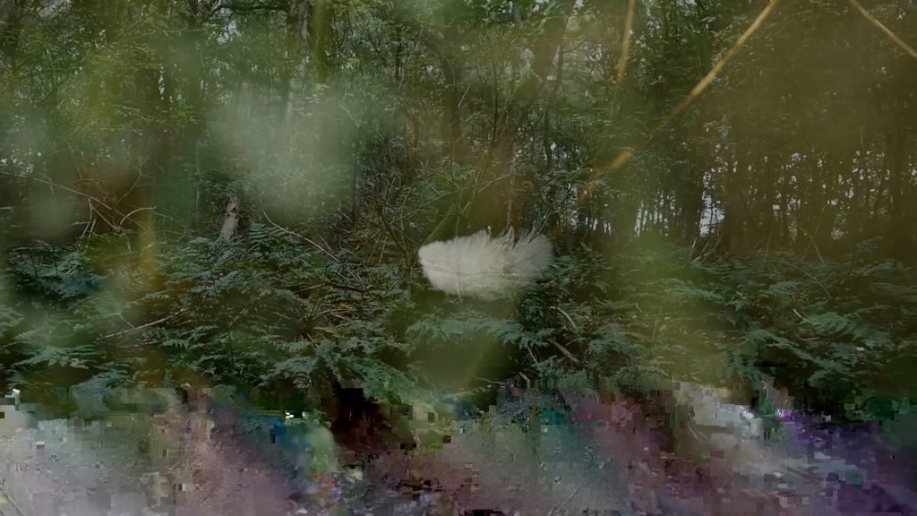 Between Earth and Sky (I am), 2018