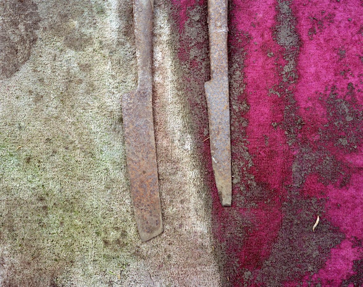 Meet the Artists: Lesley Farrell