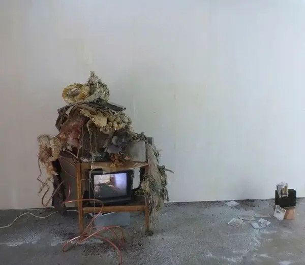 Meet the Artist: Kate Buckley