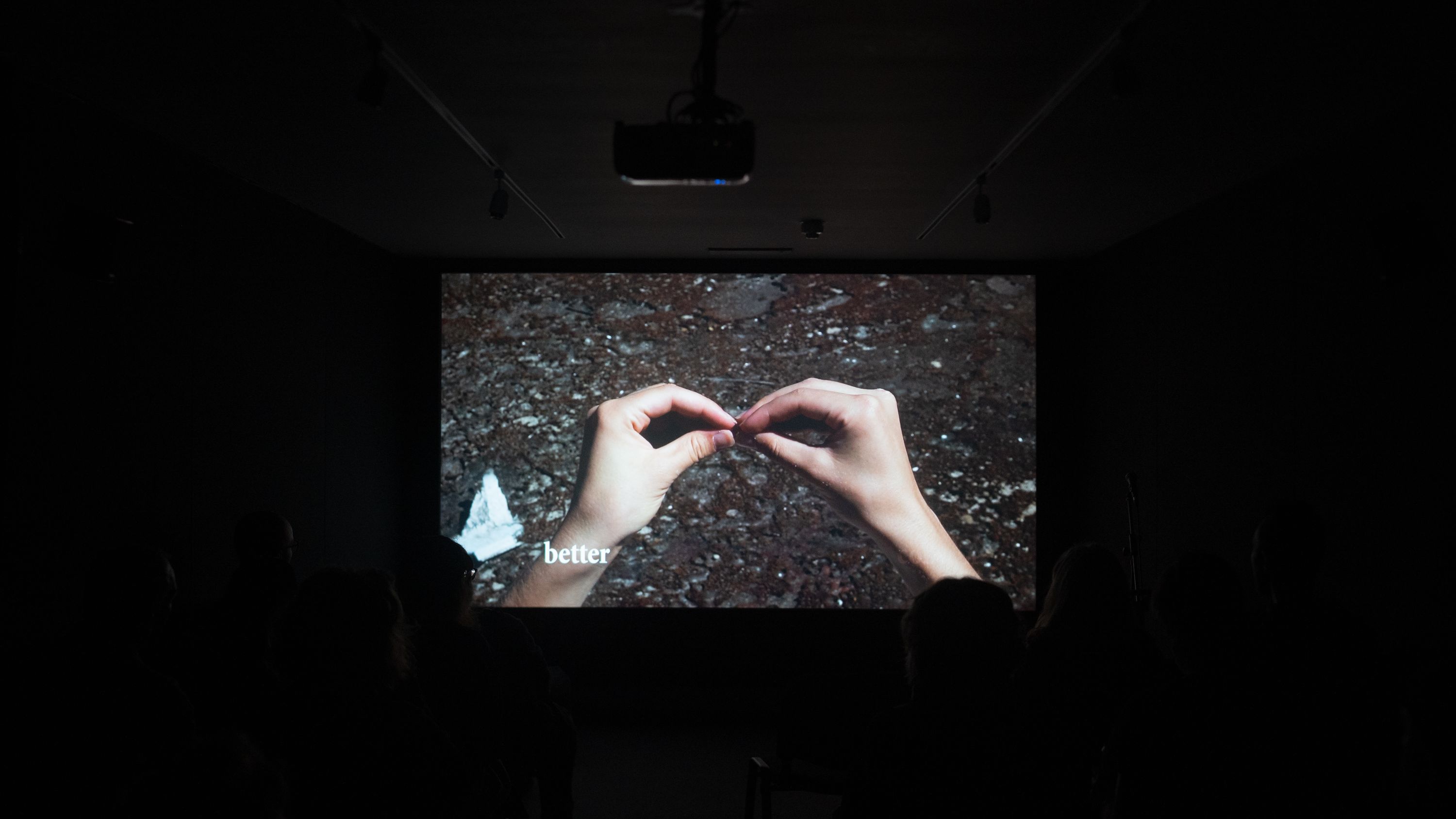 Ode to the Midlands Commissioned Artists Announcement