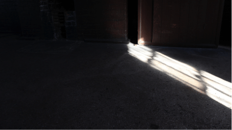Meet the Artist: Tim Shore