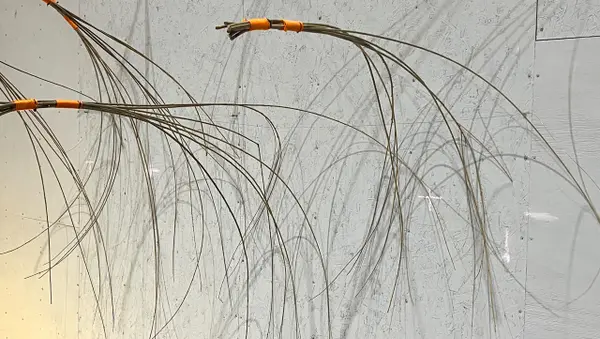 Meet the Artist: Fiona Carruthers