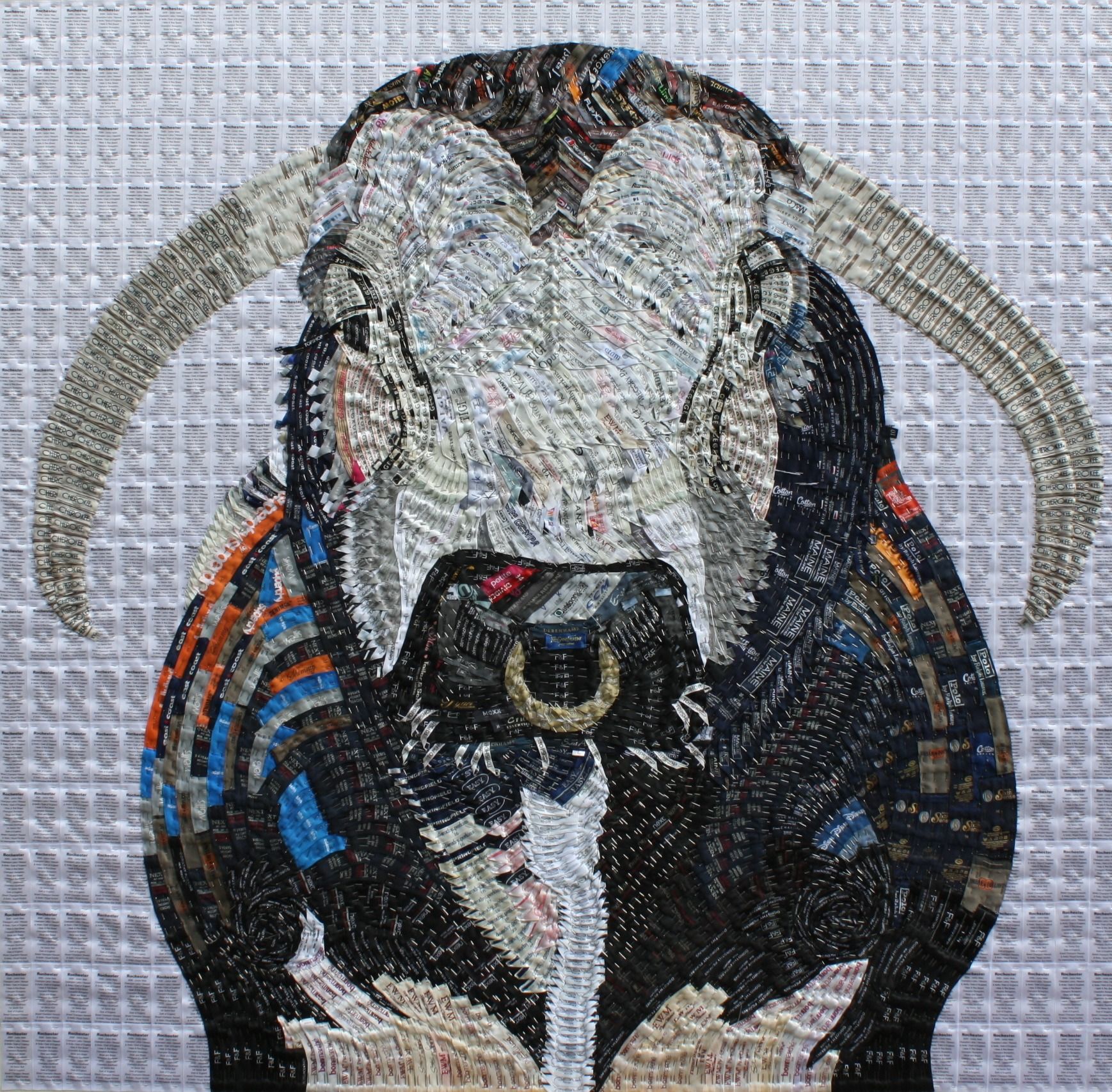 Meet the Artist: Joy Pitts