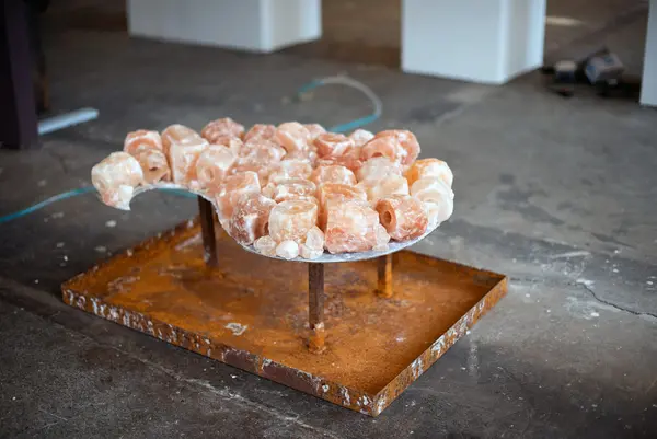 Meet the Artist: Nisa Khan